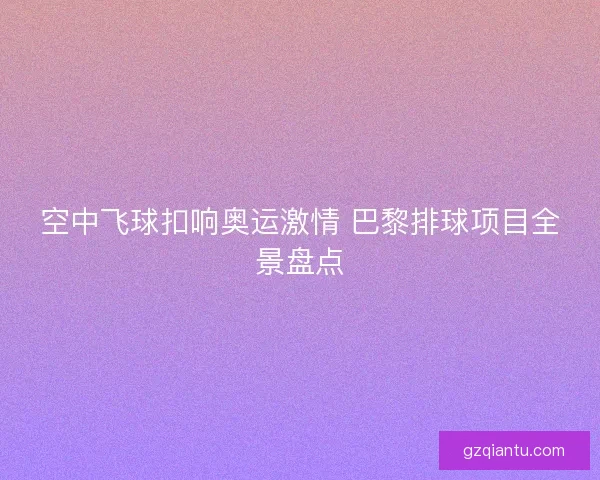空中飞球扣响奥运激情 巴黎排球项目全景盘点