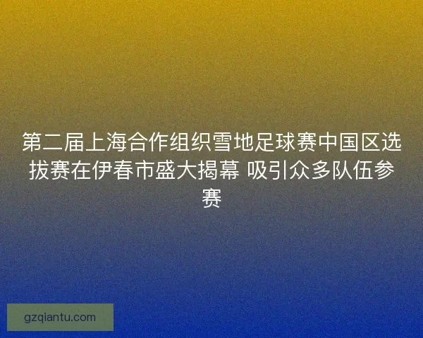 第二届上海合作组织雪地足球赛中国区选拔赛在伊春市盛大揭幕 吸引众多队伍参赛